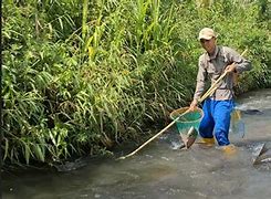 Mimpi Cari Ikan Di Sungai Dapat Banyak